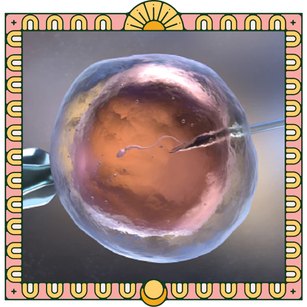 pregnancy-ivf