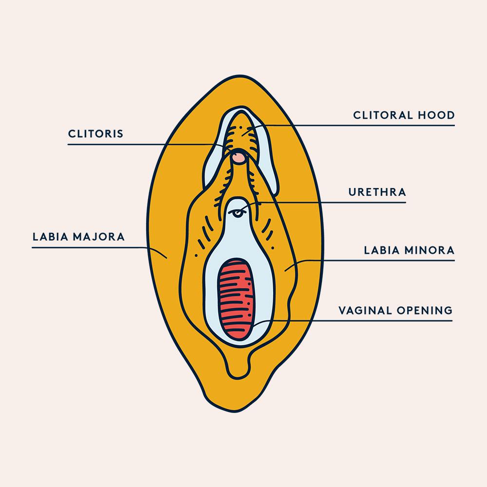 Why We Aren’t Speaking About FGM Enough