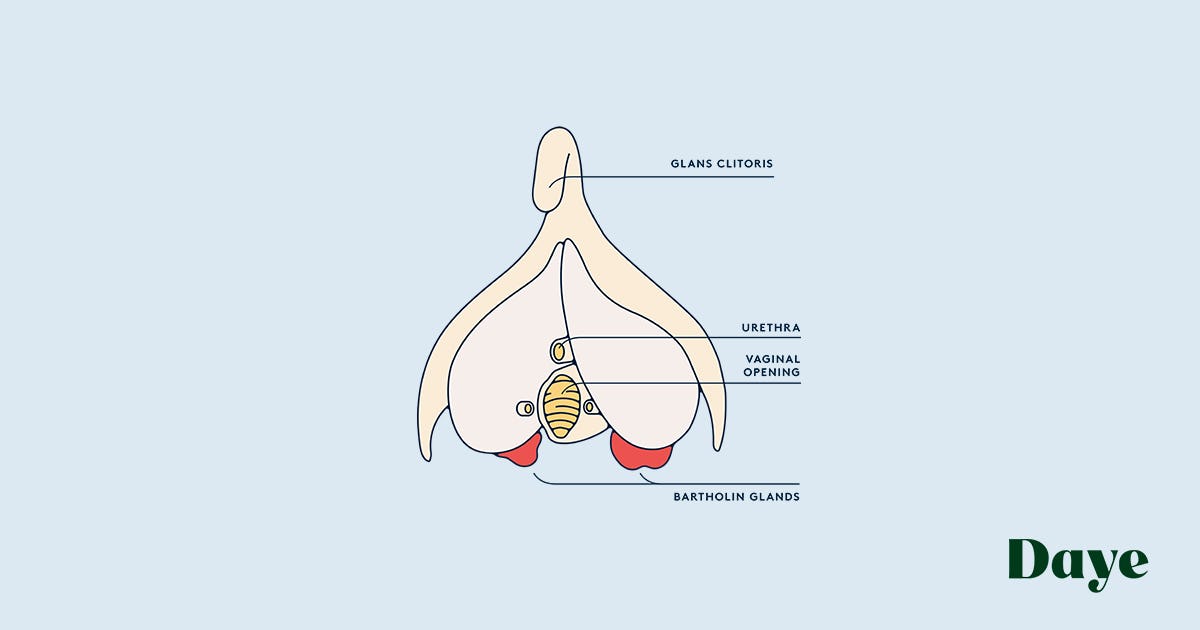 The Reason Your Vulva Might Be Swollen Daye