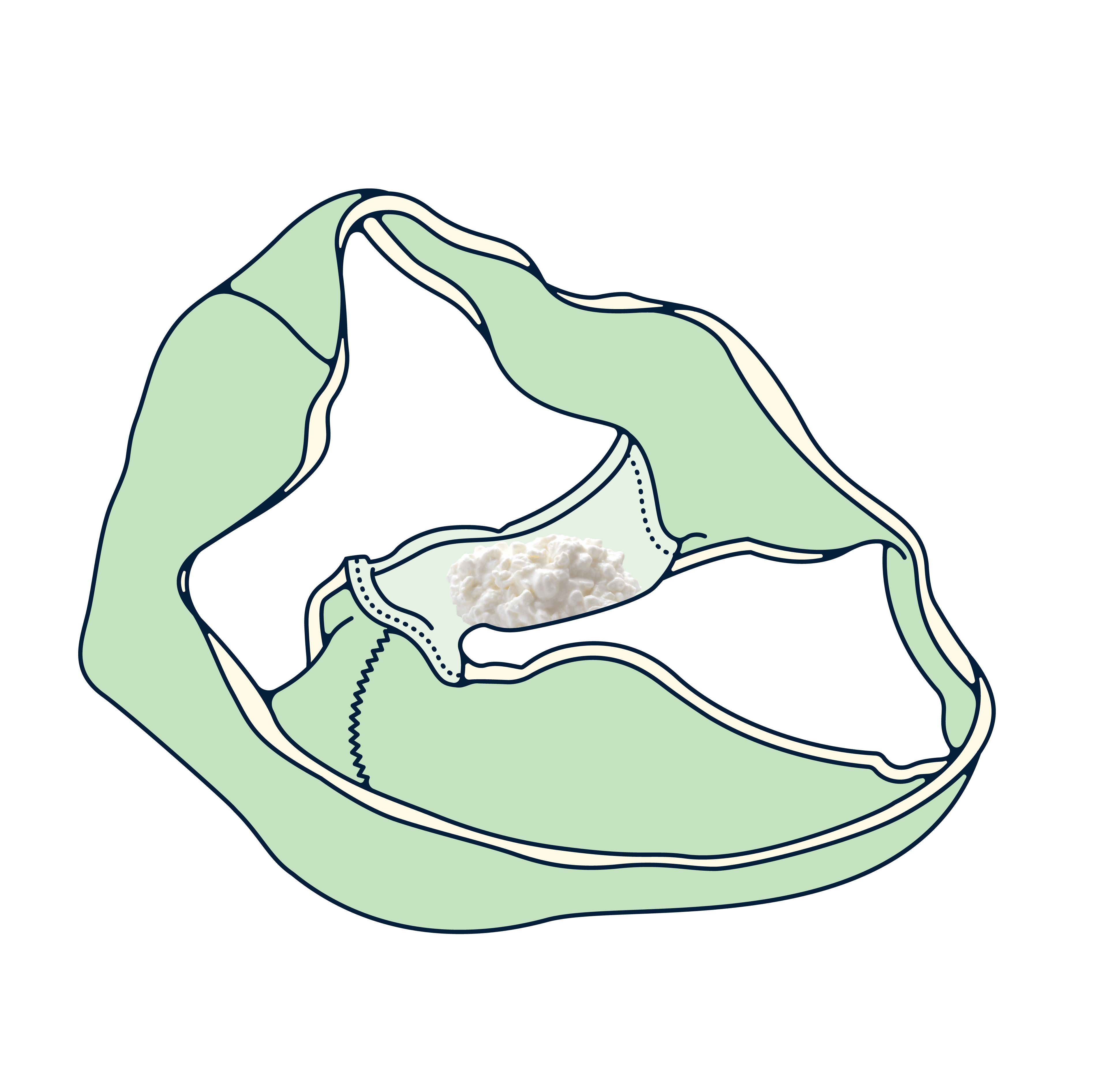 thrush discharge