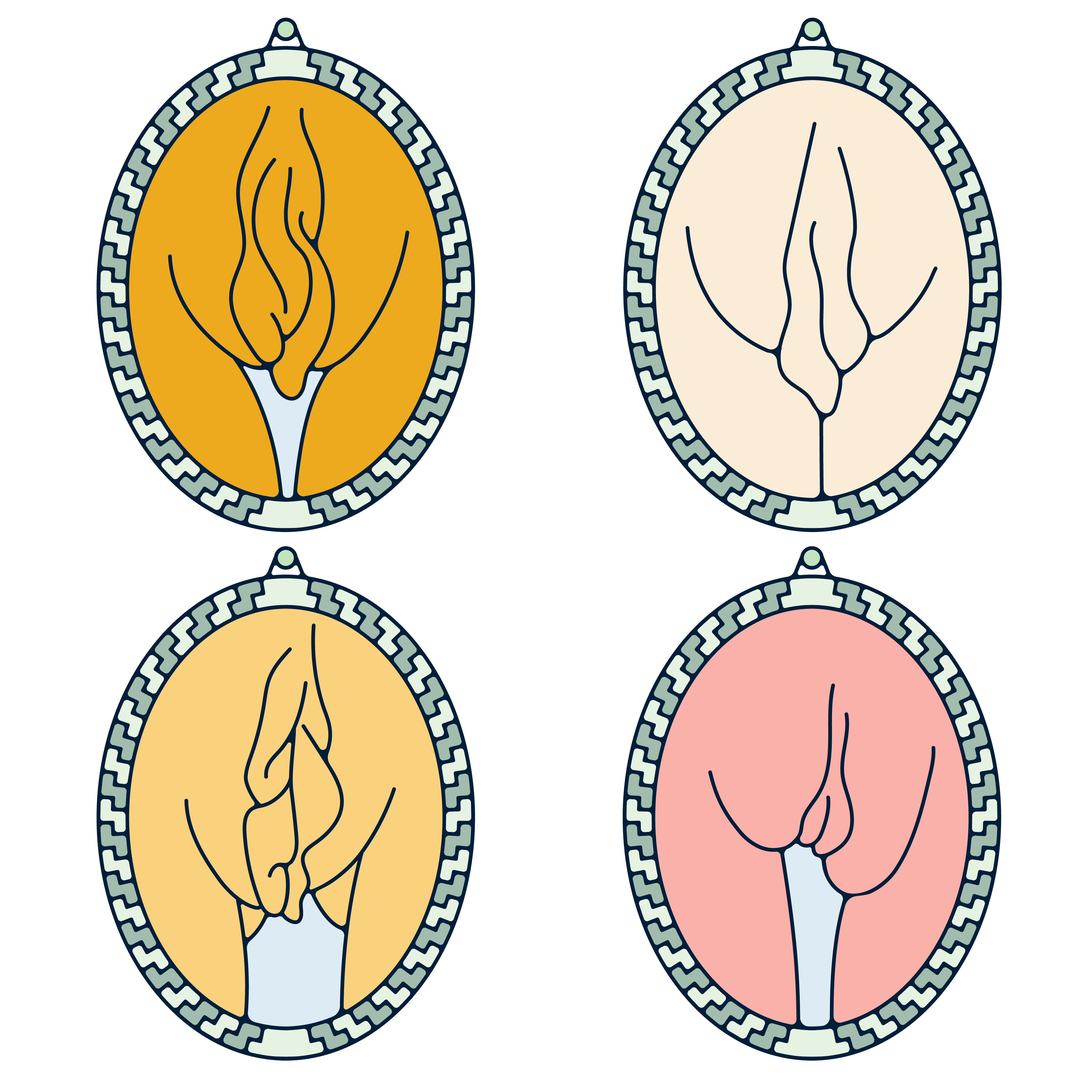Vulva shapes 