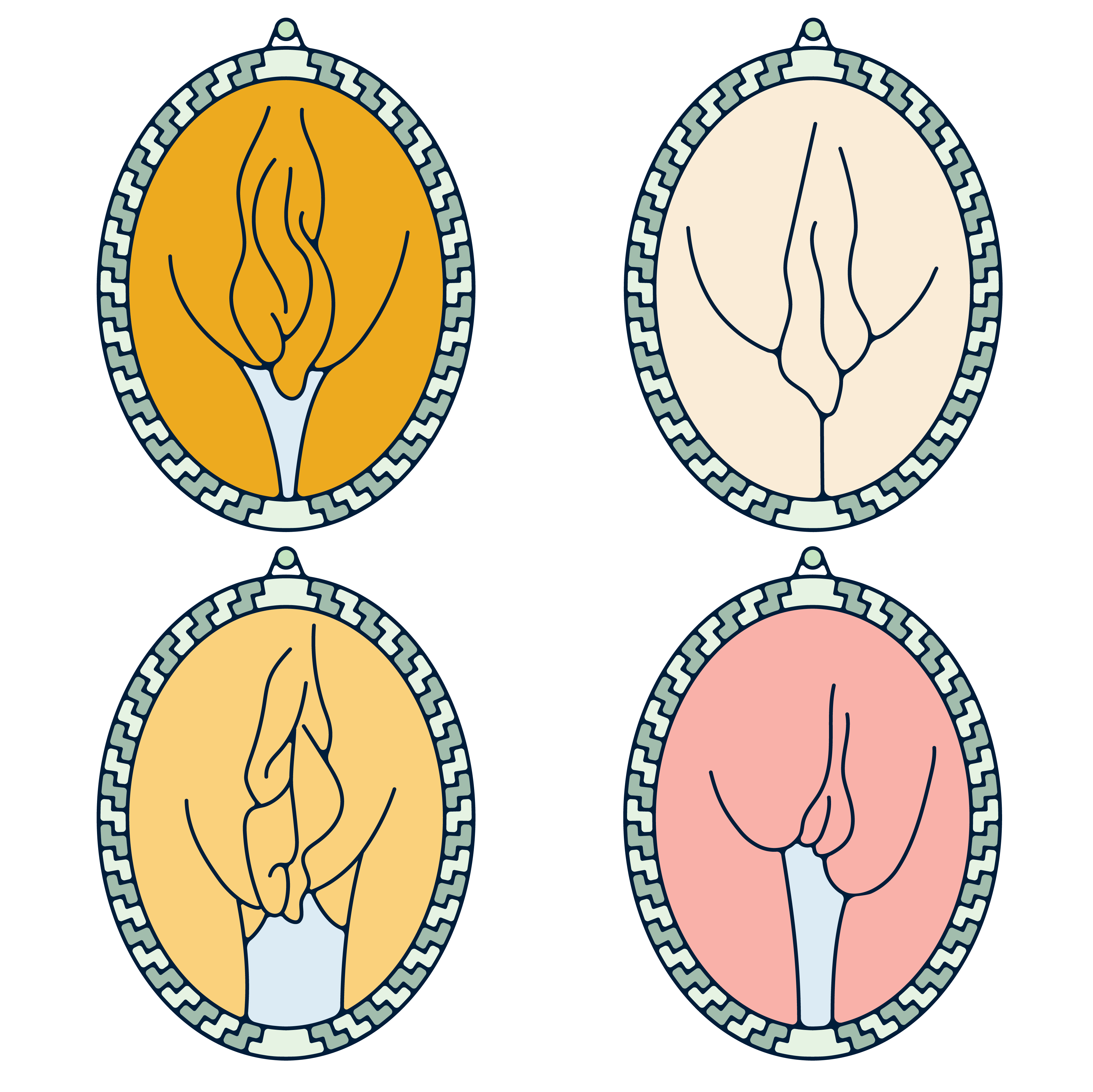 Vulva shapes