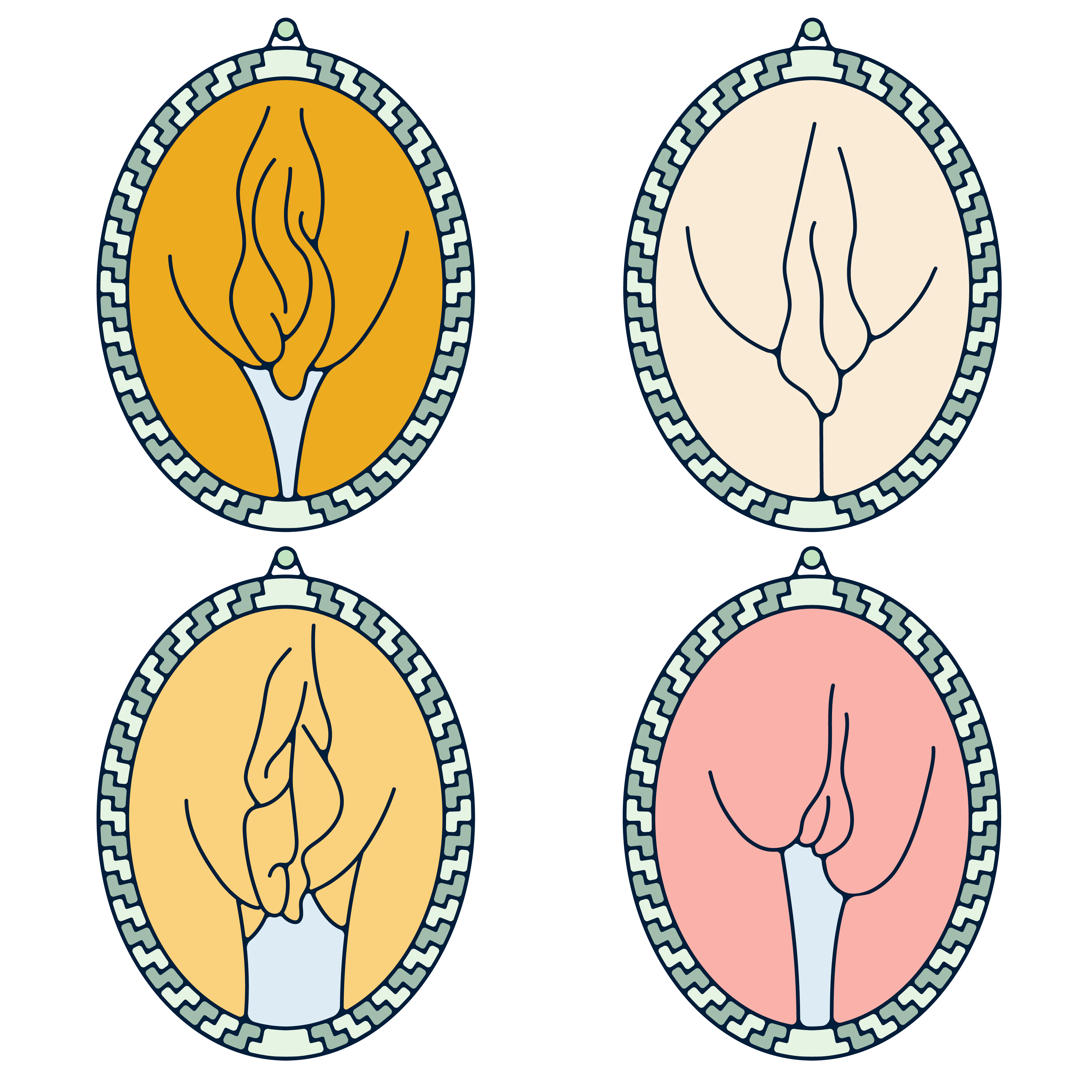 Vulva shapes