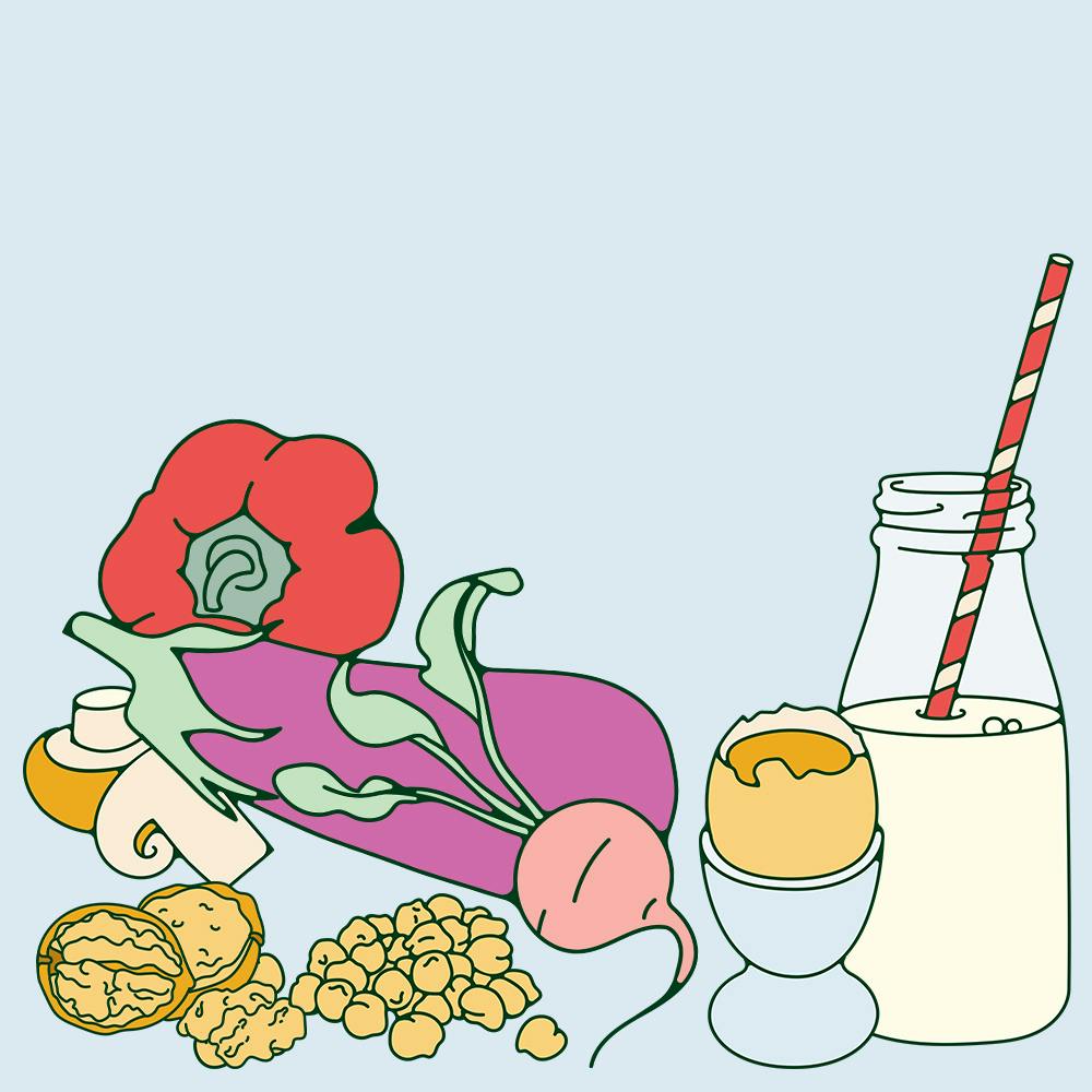 Nutrition And The Menstrual Cycle