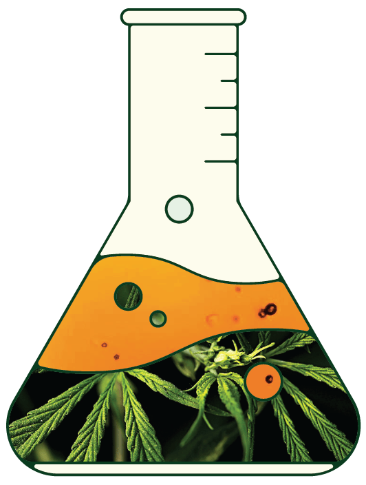 how CBD tampons work