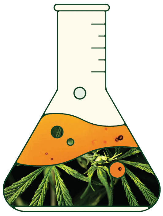 how CBD tampons work
