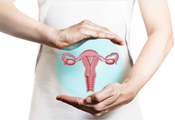 iud-uterus-gynecology