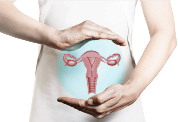 iud-uterus-gynaecology