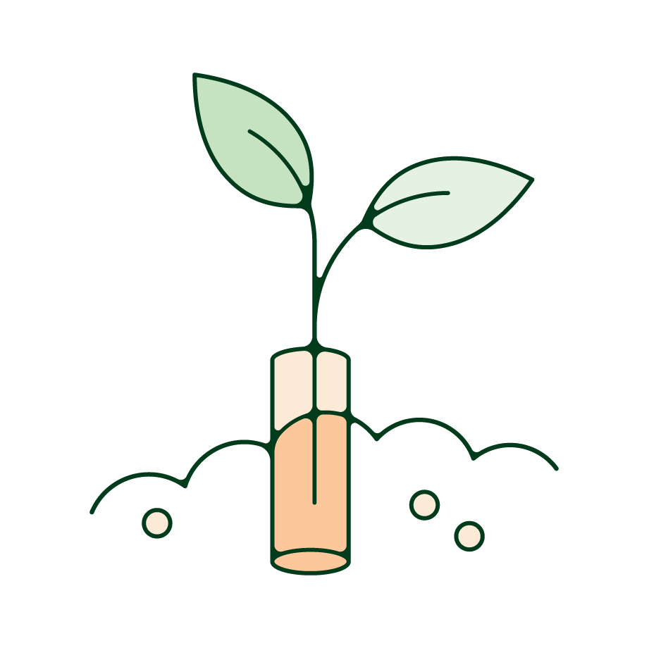 A compostable CBD tampon with a plant growing out of it. 