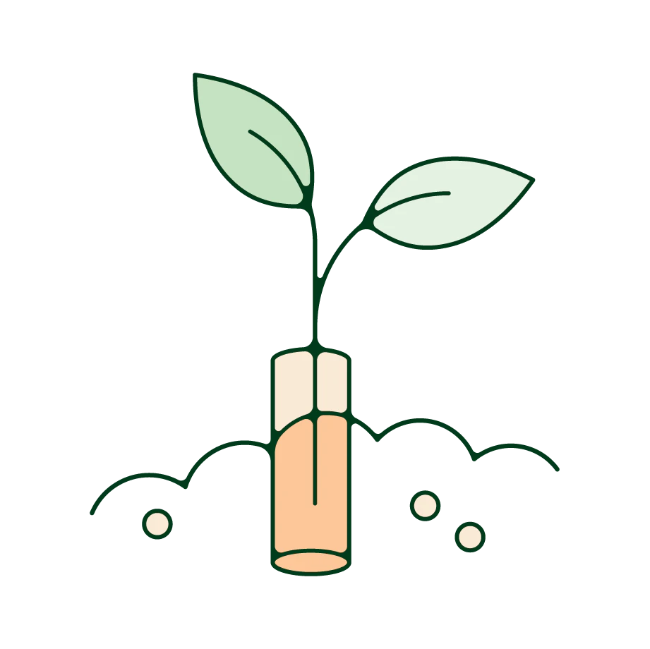 A compostable CBD tampon with a plant growing out of it.