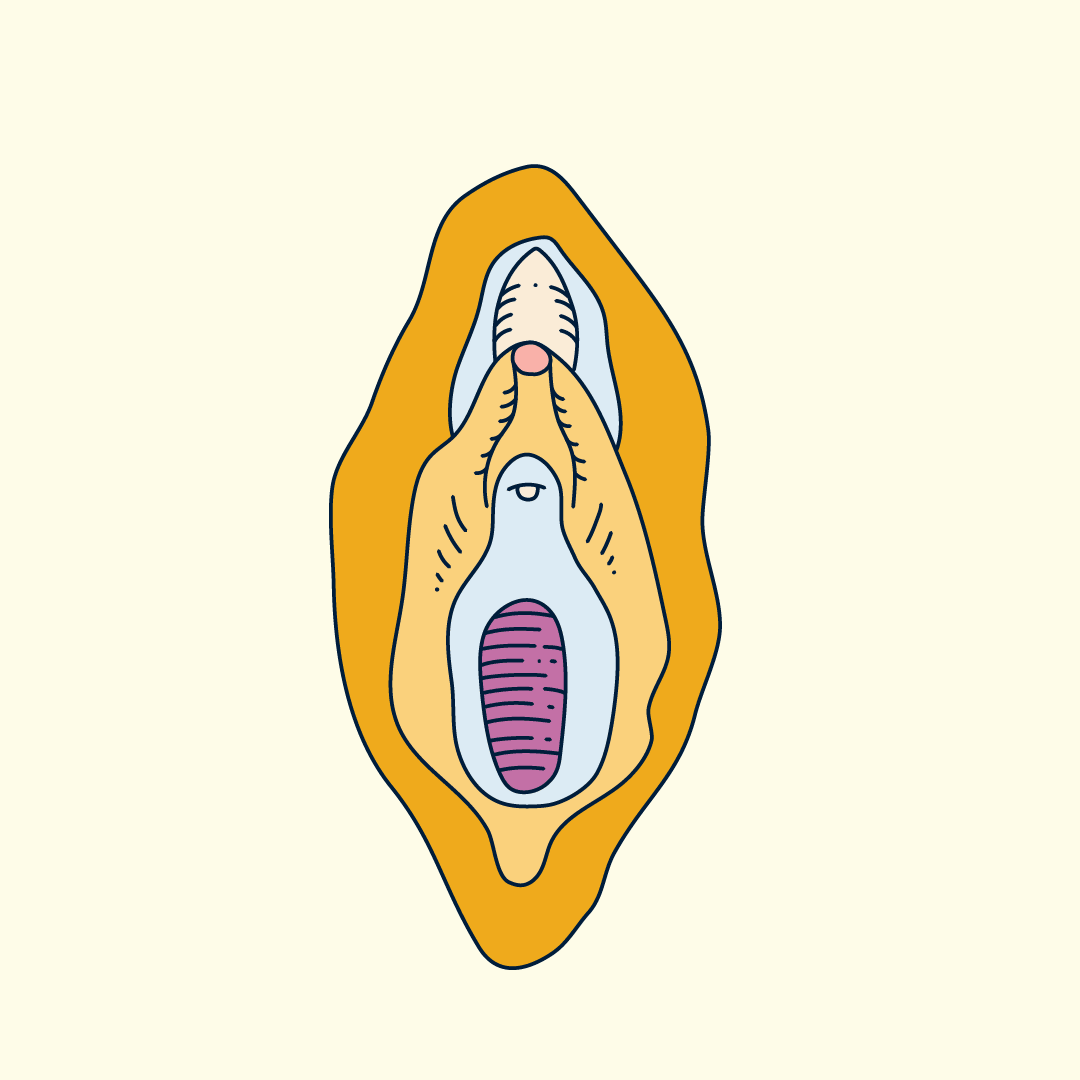 Vaginismus causes pain in the vulva and vagina 
