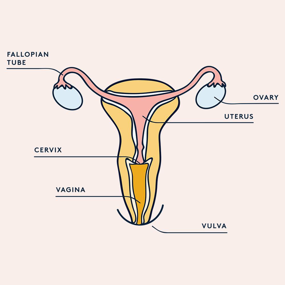 sex after hysterectomy
