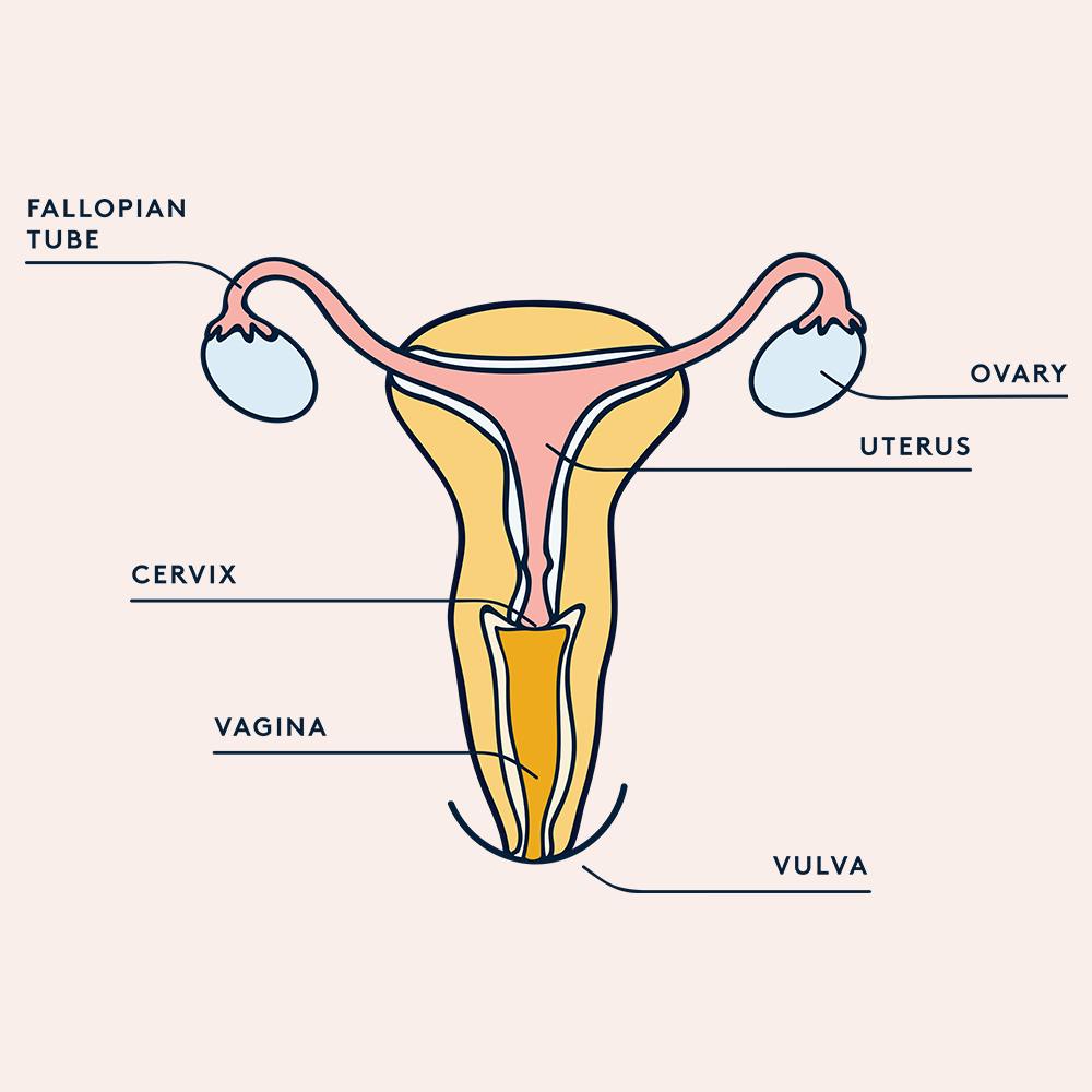 sex after hysterectomy 