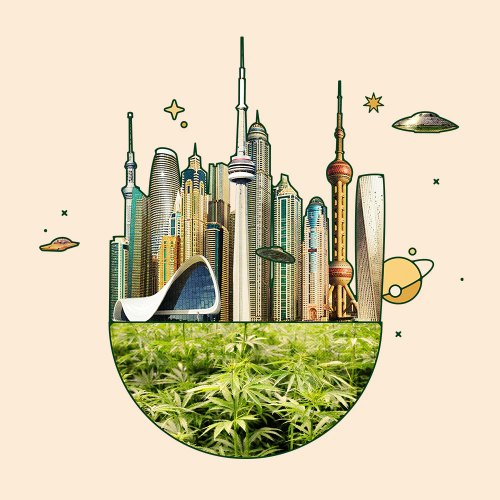 Is Hemp The Crop Of The Future?