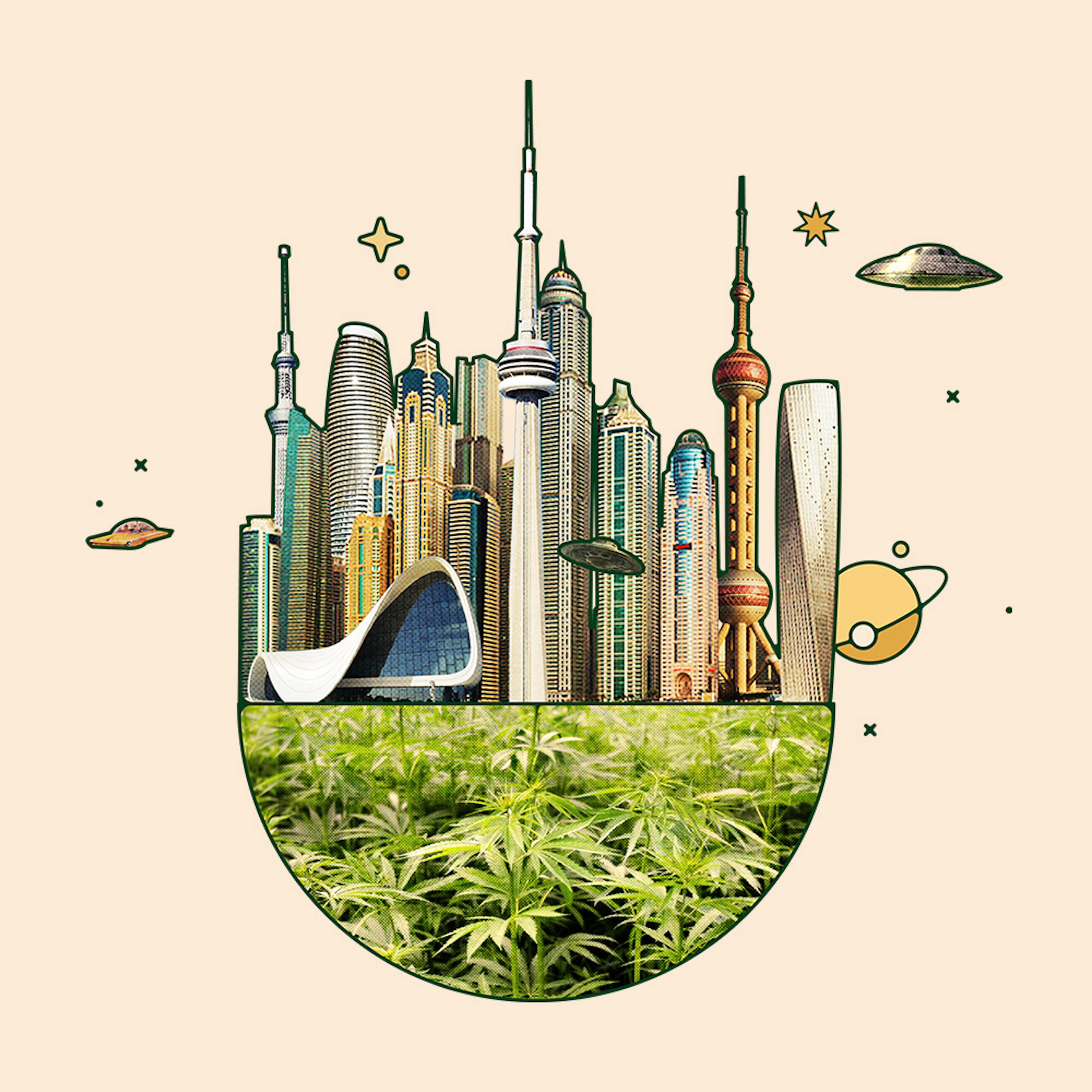 Is Hemp The Crop Of The Future?