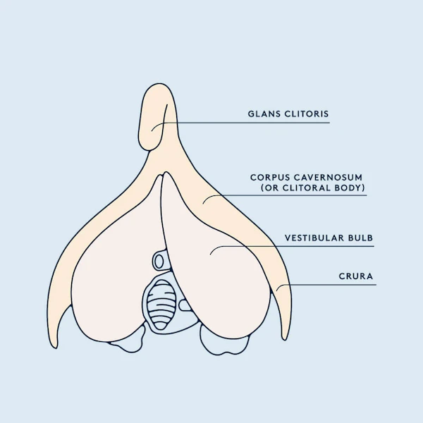 Why does my clit hurt