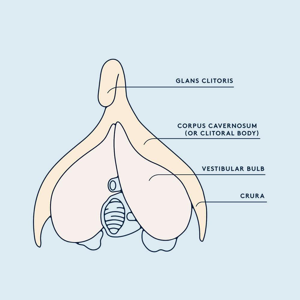 Why does my clit hurt