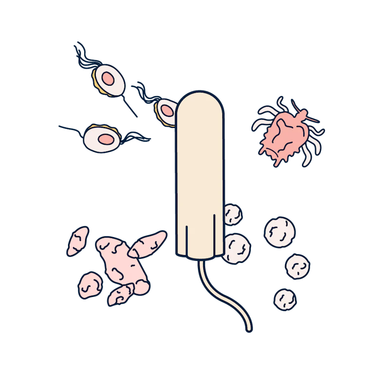 tampon and microbes