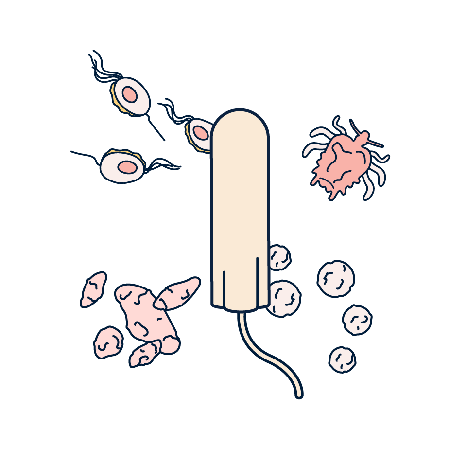 tampon and microbes