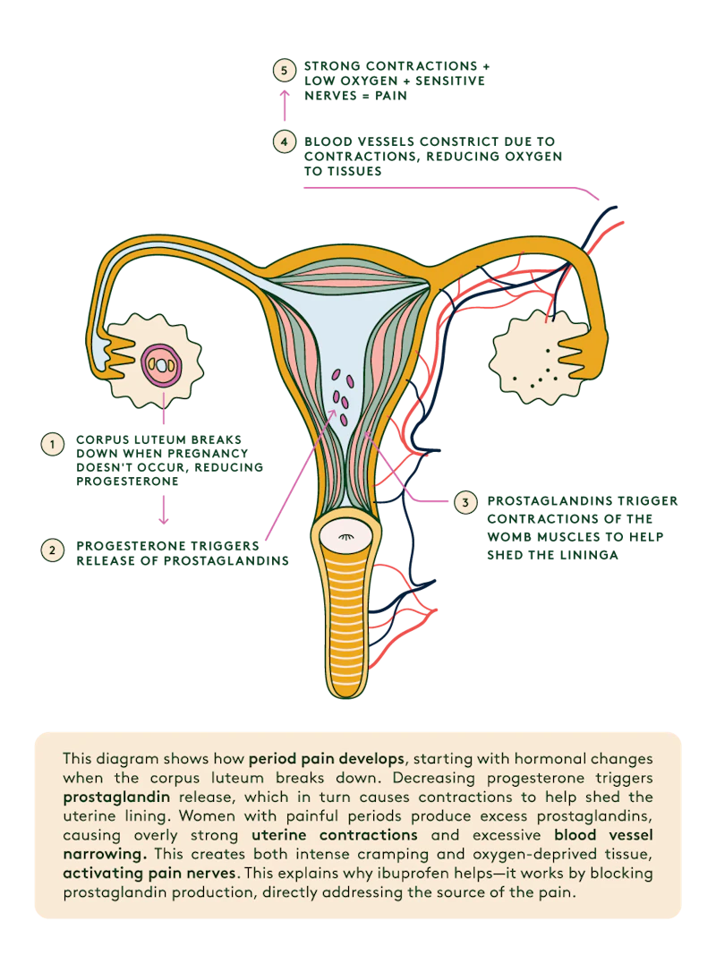 period-pain-infographic