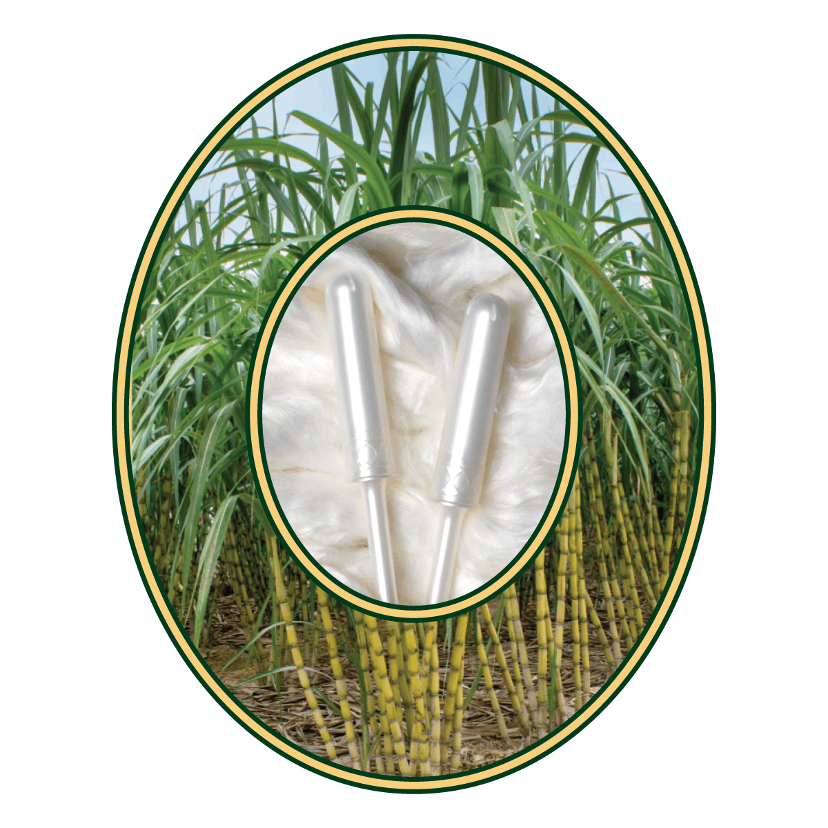 daye applicators