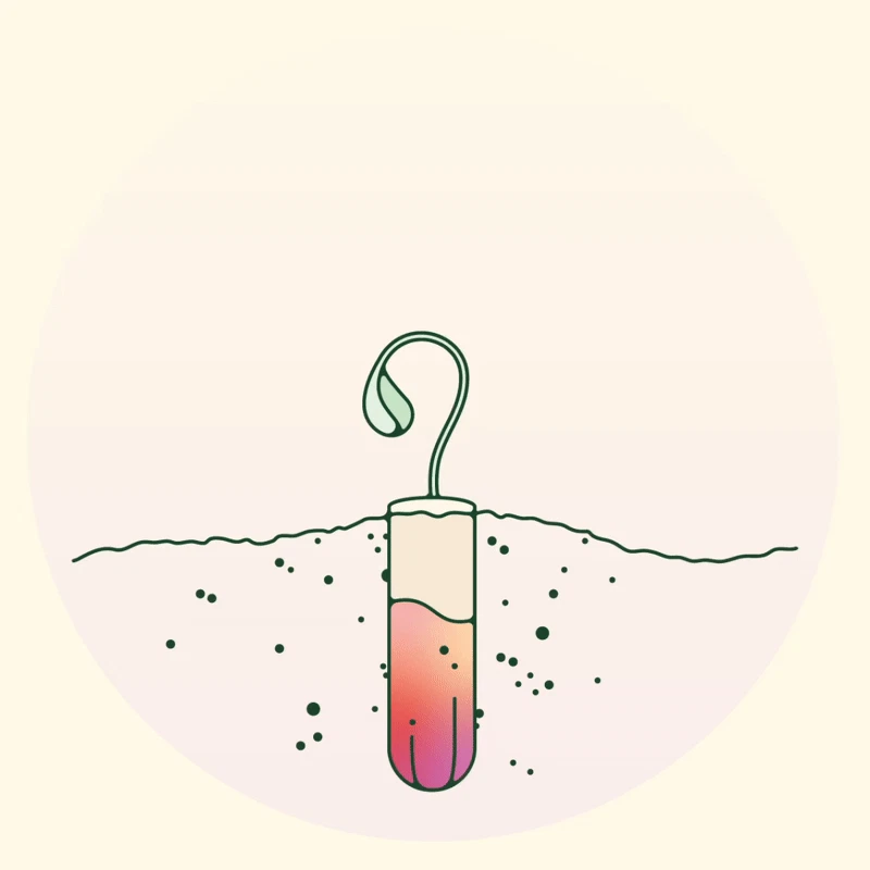 biodegradable tampon animation