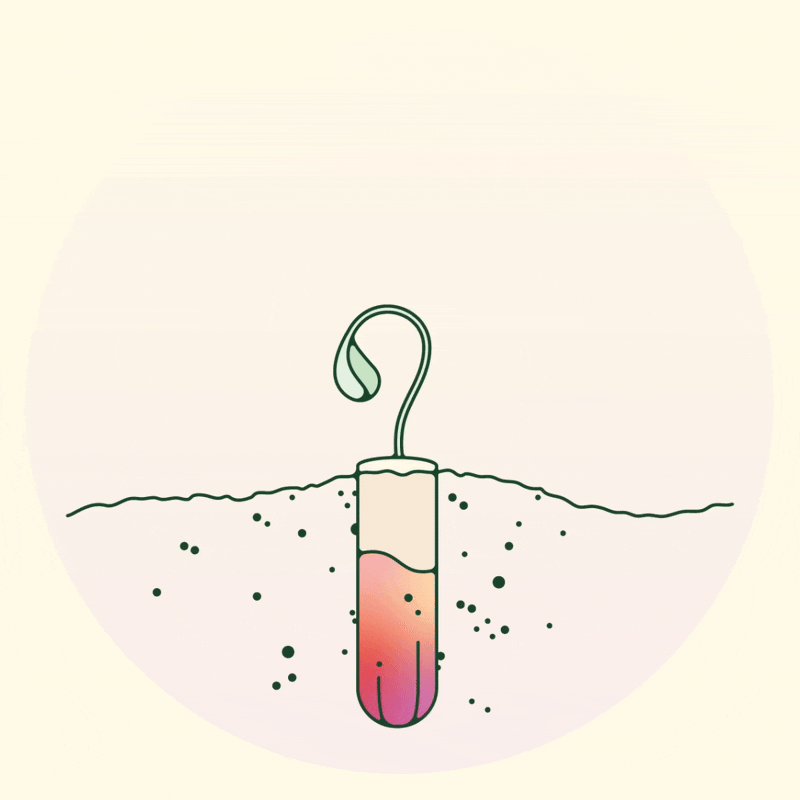 biodegradable tampon animation