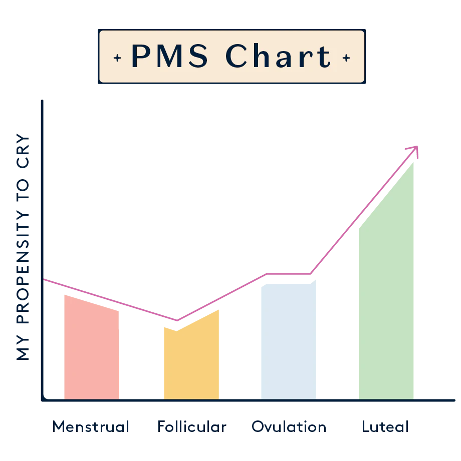 A chart showing the different phases of the menstrual cycle.