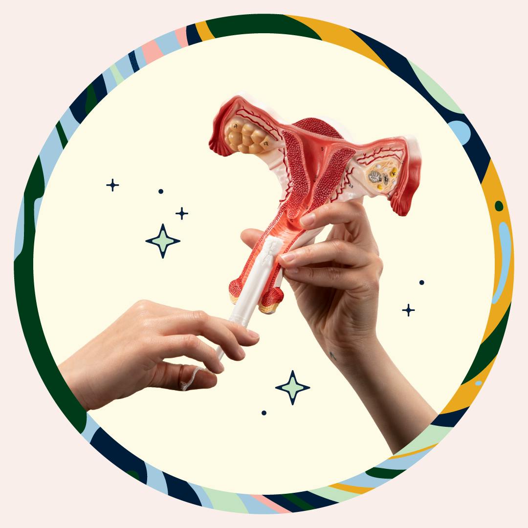 A tampon being inserted into the vaginal canal.