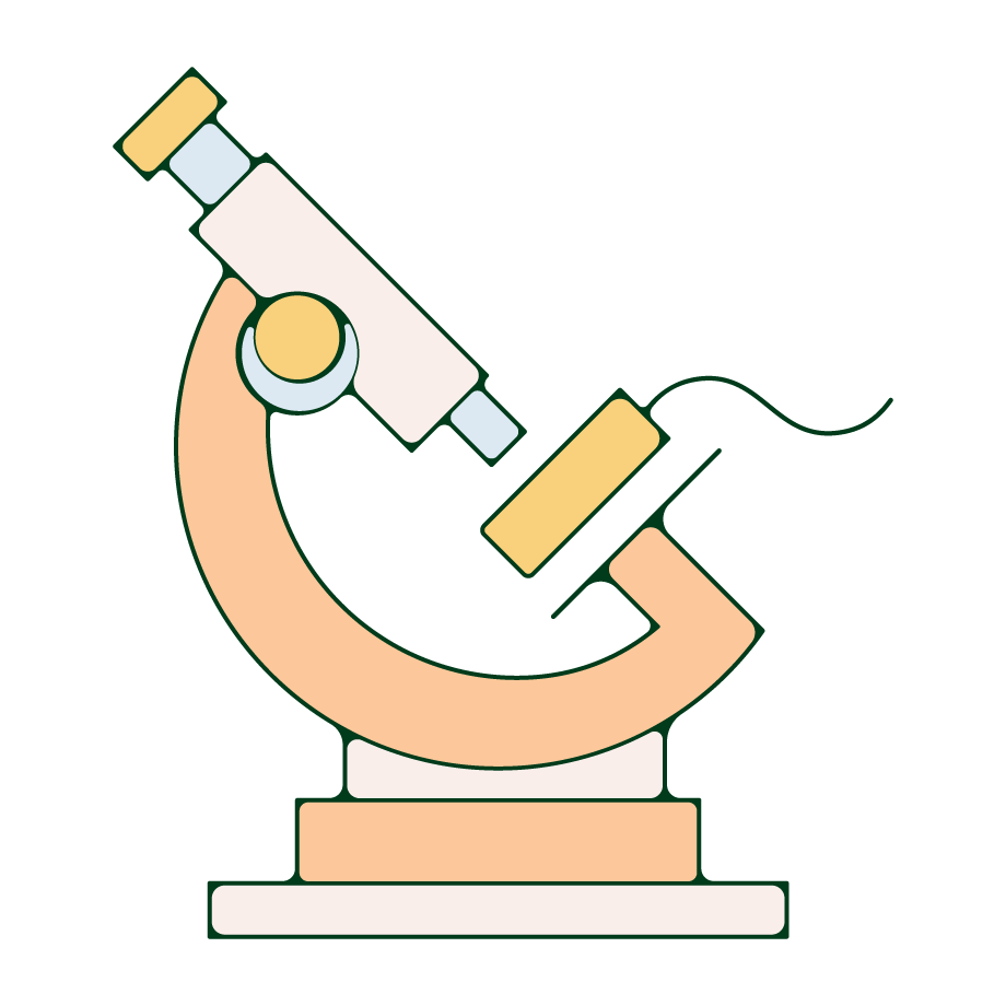 A tampon under a microscope.