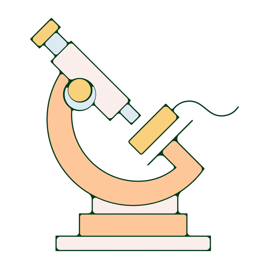 A tampon under a microscope.