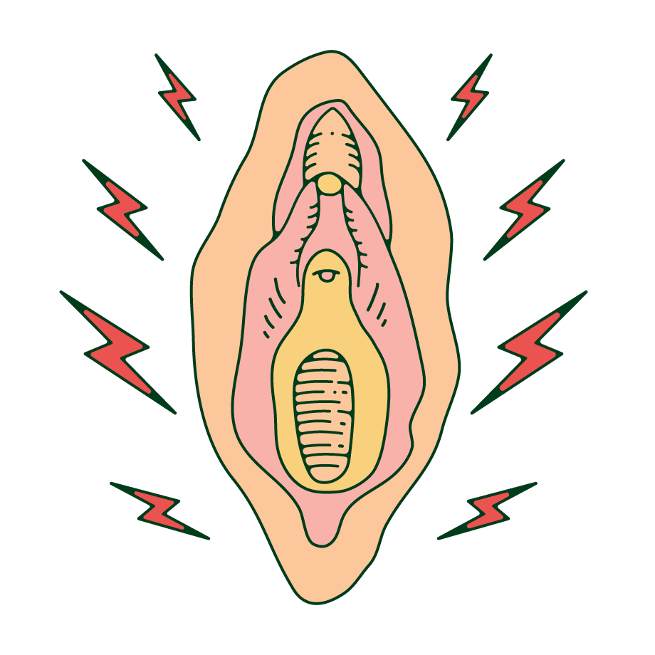 Anatomical diagram of the vagina.