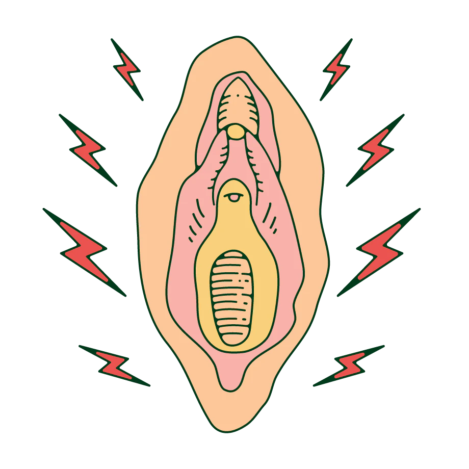 Anatomical diagram of the vagina.