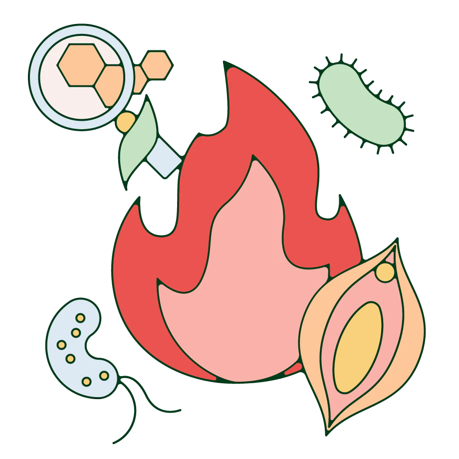 Different factors that can cause vaginal discomfort.