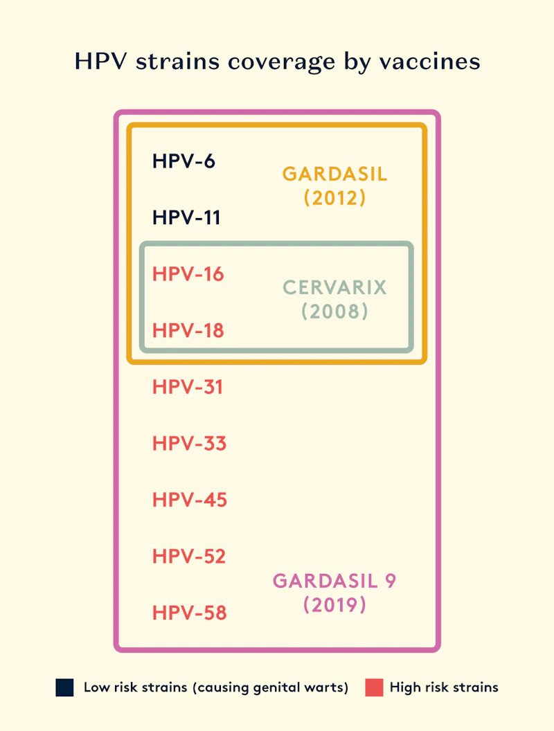 Coverage of HPV Strains by Different Vaccine Types