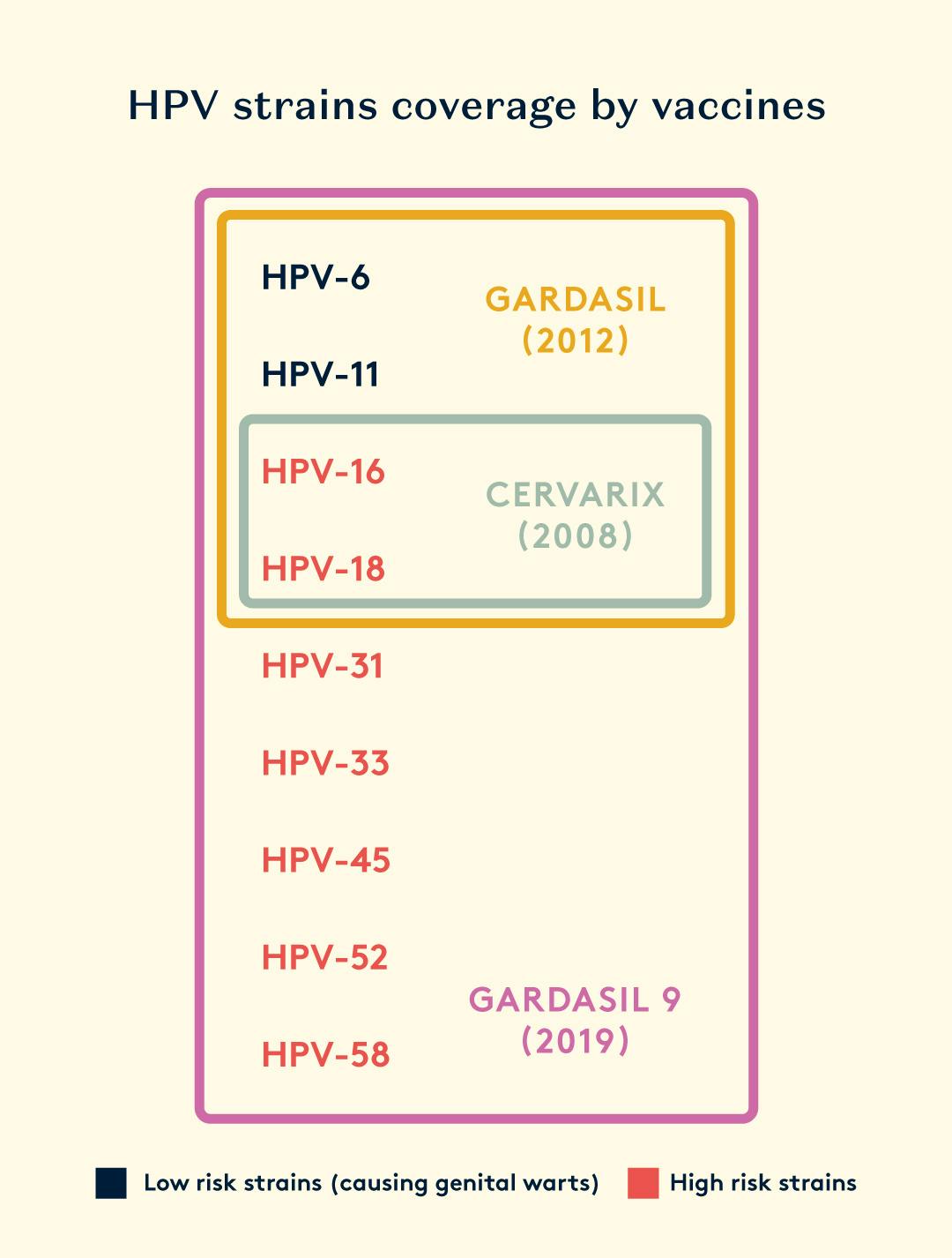 Coverage of HPV Strains by Different Vaccine Types


