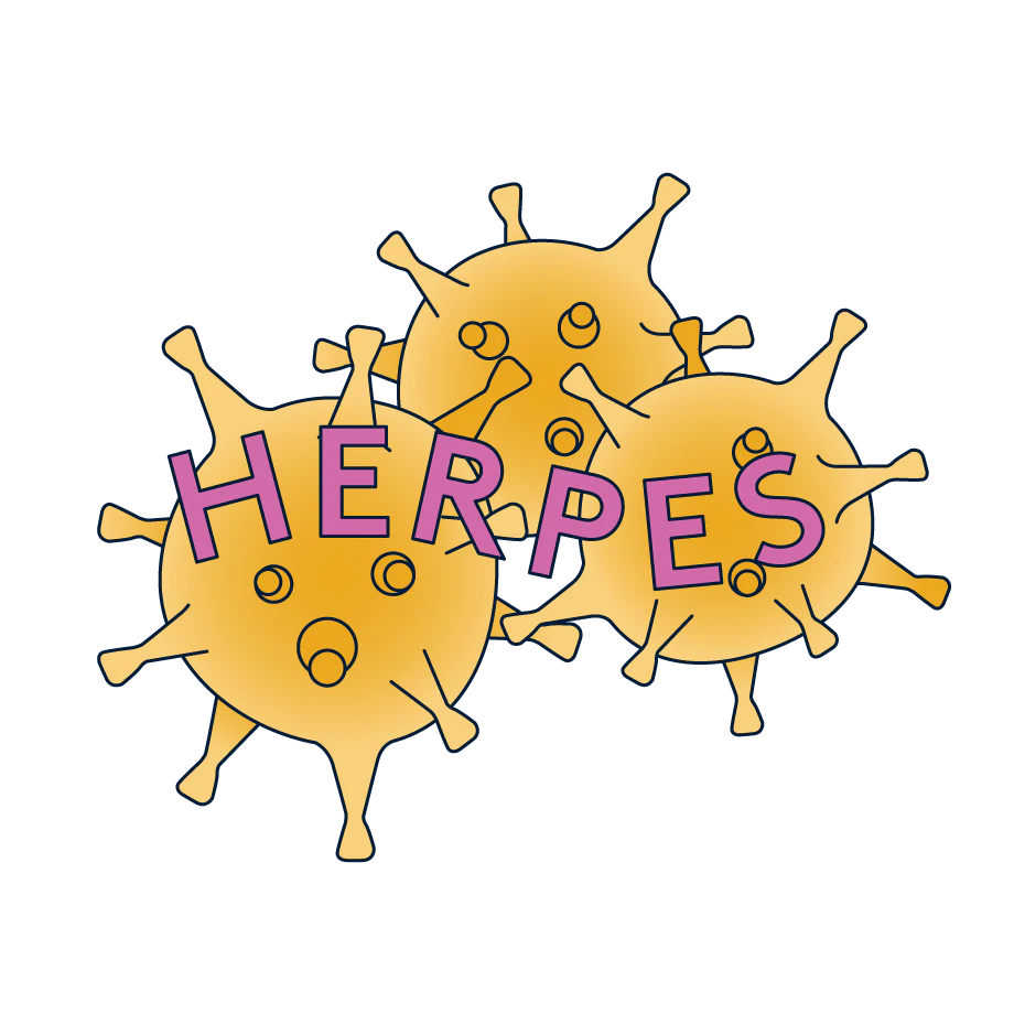 The Herpes virus under a microscope.