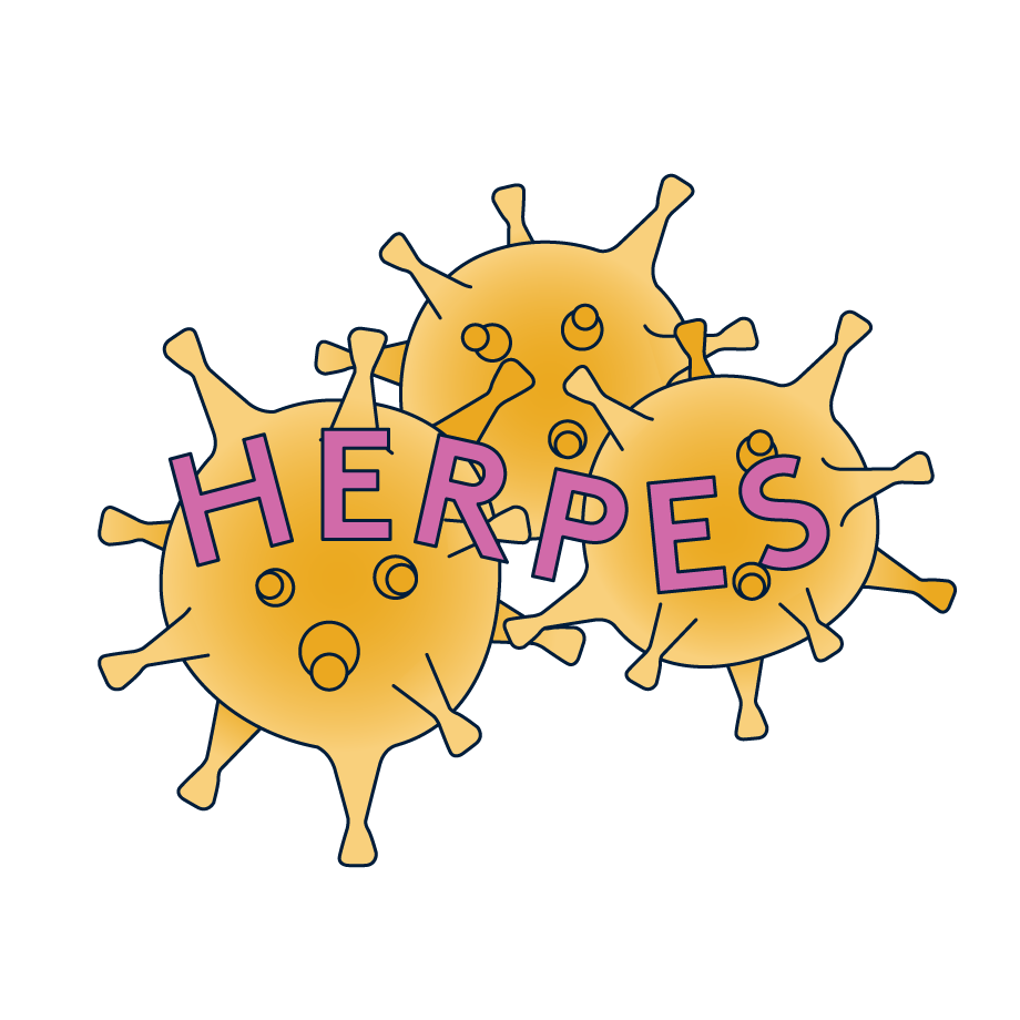 The Herpes virus under a microscope.