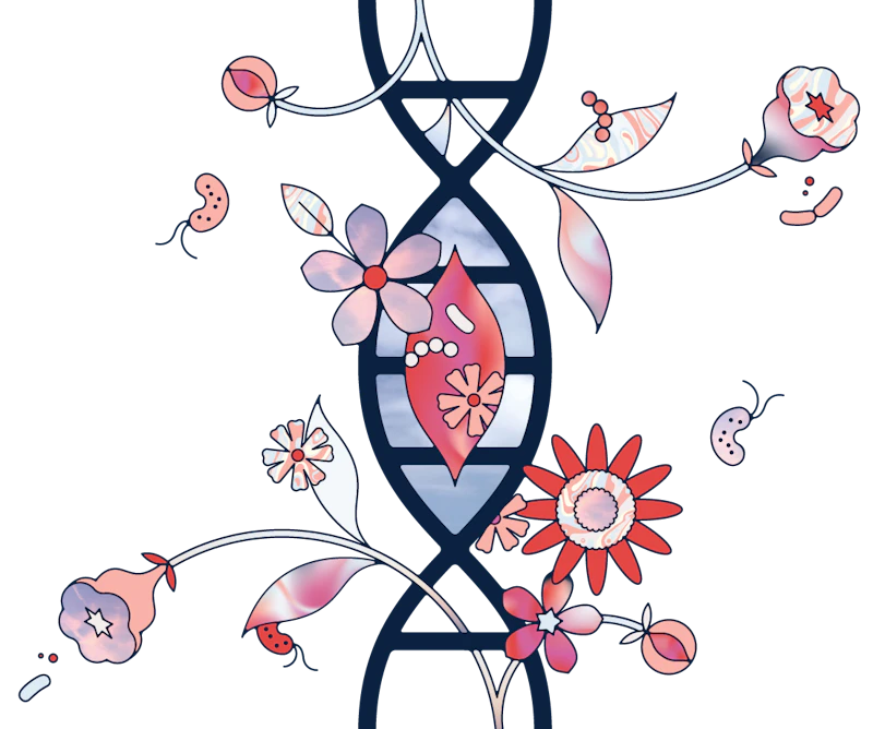 daye floral illustration