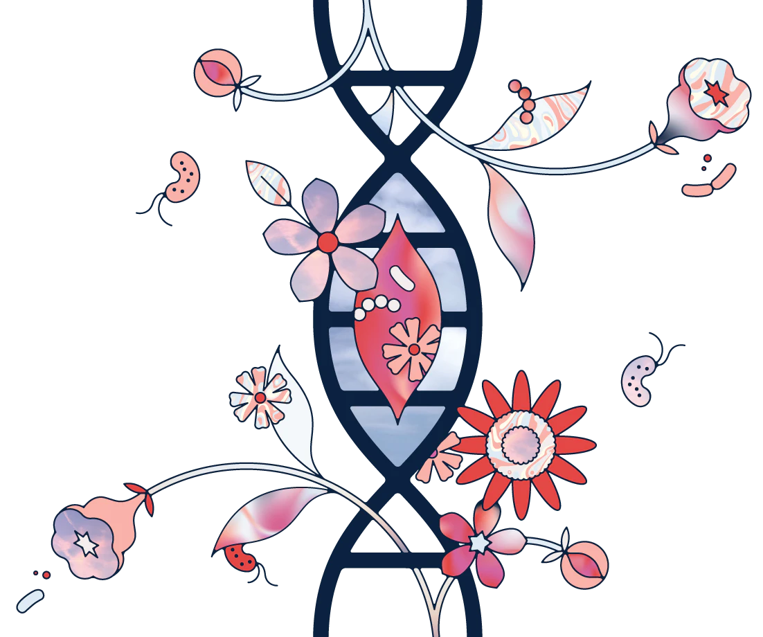 daye floral illustration