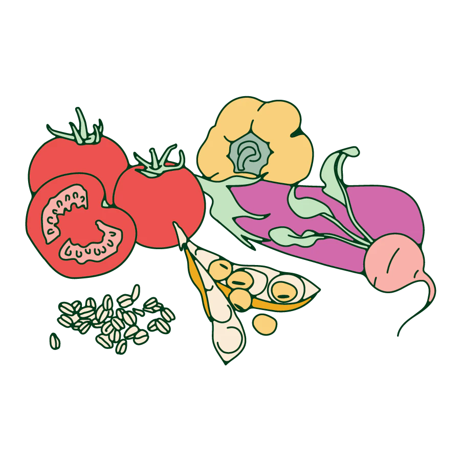 illustration of various vegetables like tomatoes, eggplants, peppers and beans