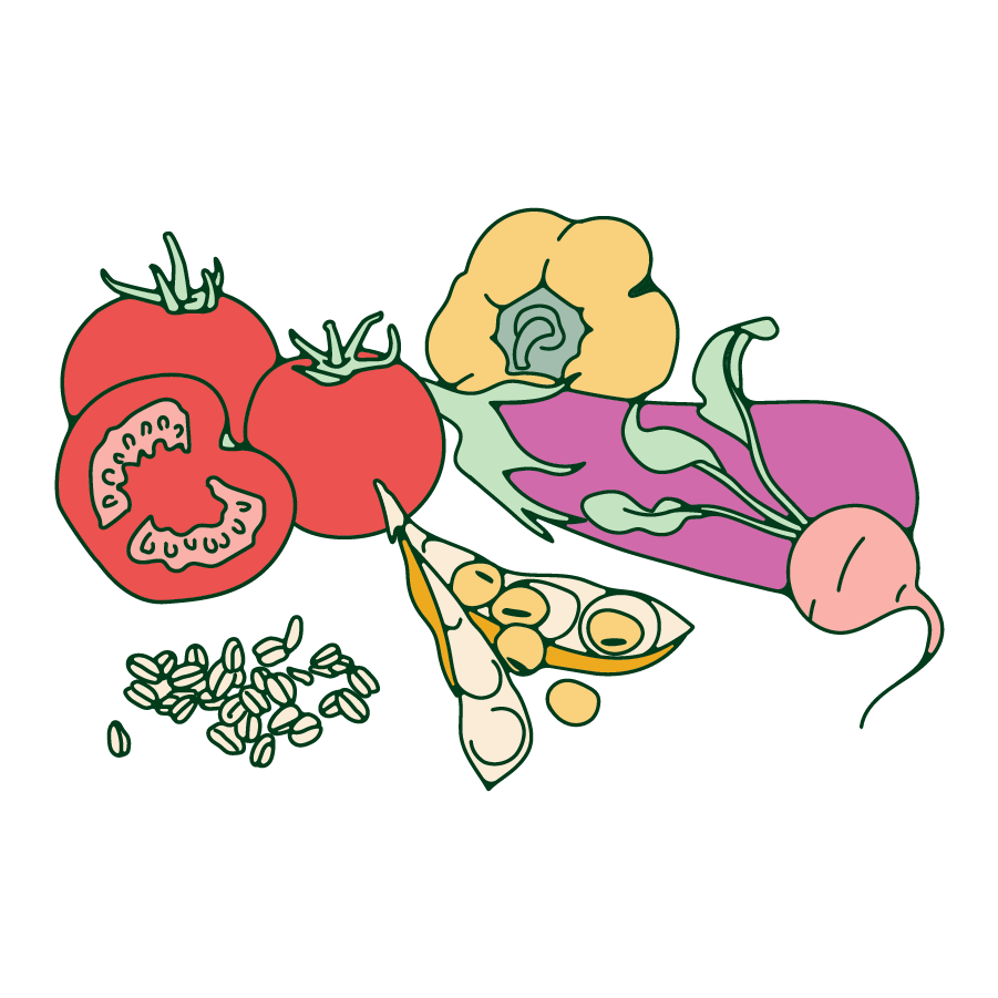 illustration of various vegetables like tomatoes, eggplants, peppers and beans