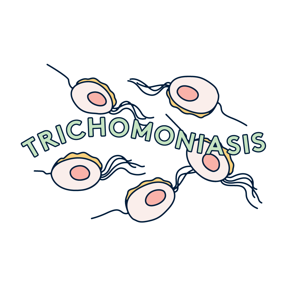 trichonomiasis illustration