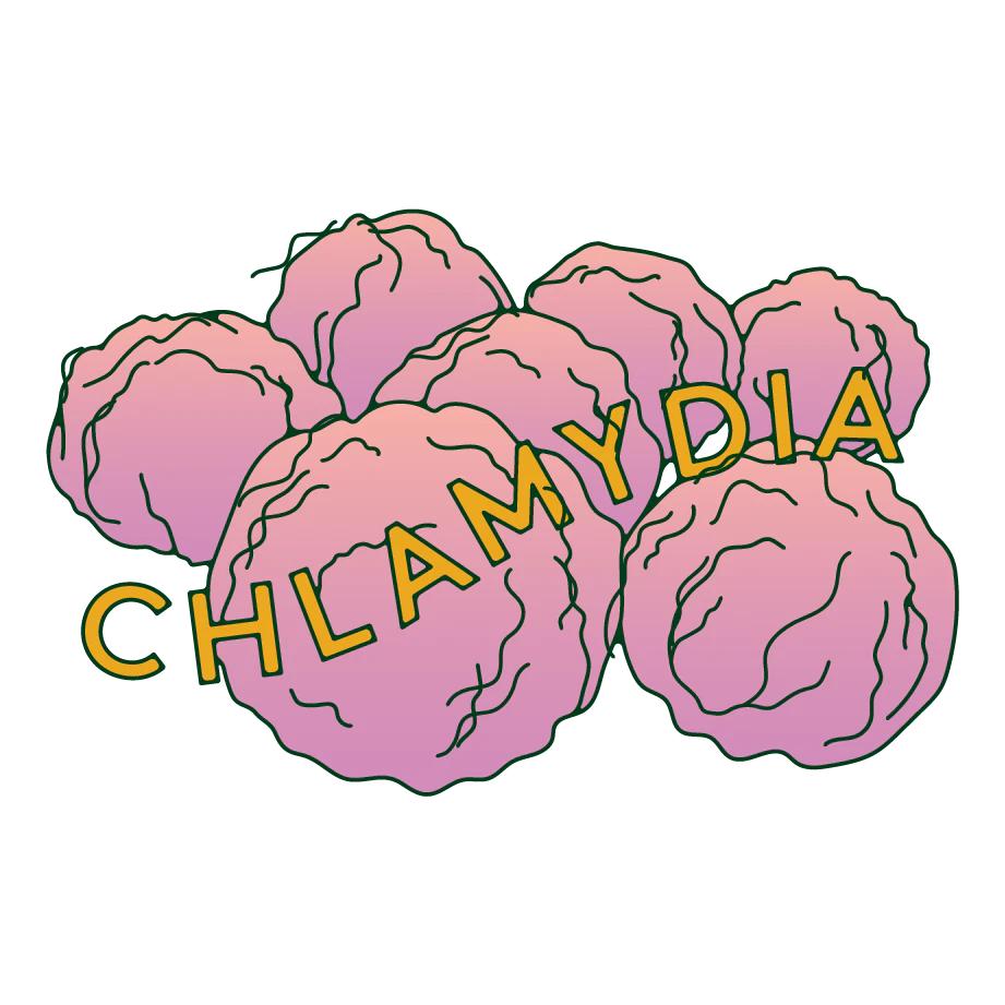 chlamydia-illustration-daye