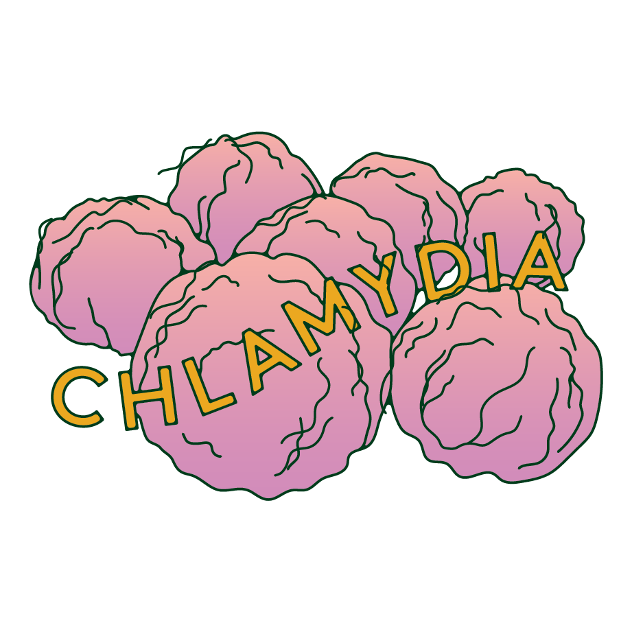 chlamydia-illustration-daye