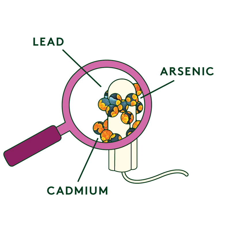 toxic-metals-in-tampons-illustration