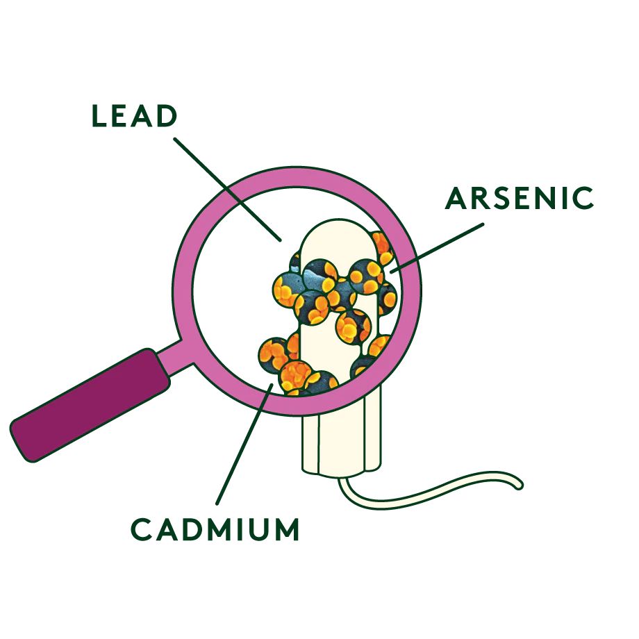 toxic-metals-in-tampons-illustration
