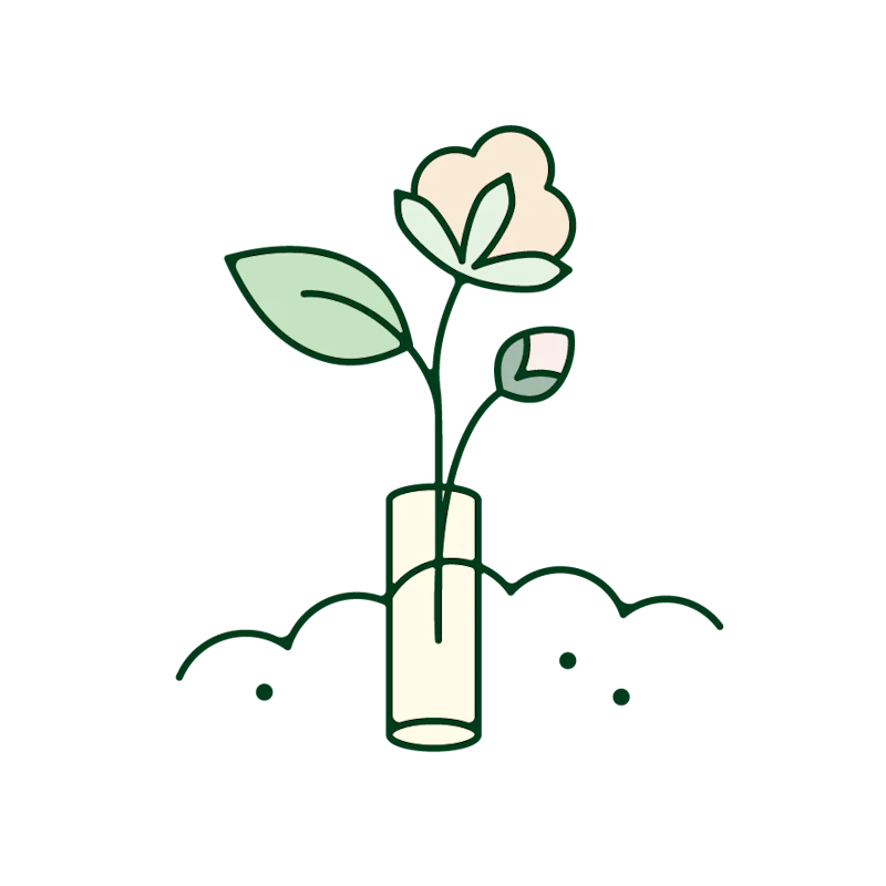 organic-cotton-tampon-growing-from-soil-illustration