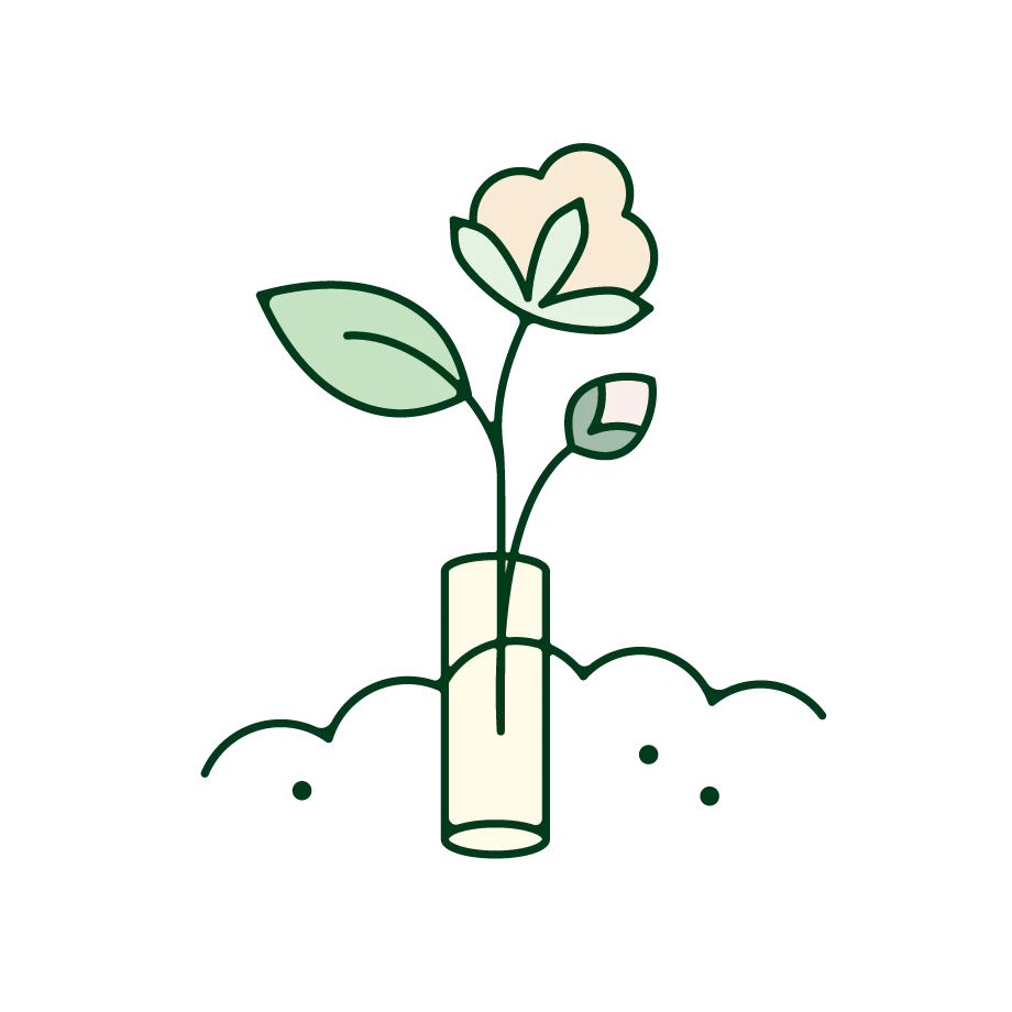 organic-cotton-tampon-growing-from-soil-illustration