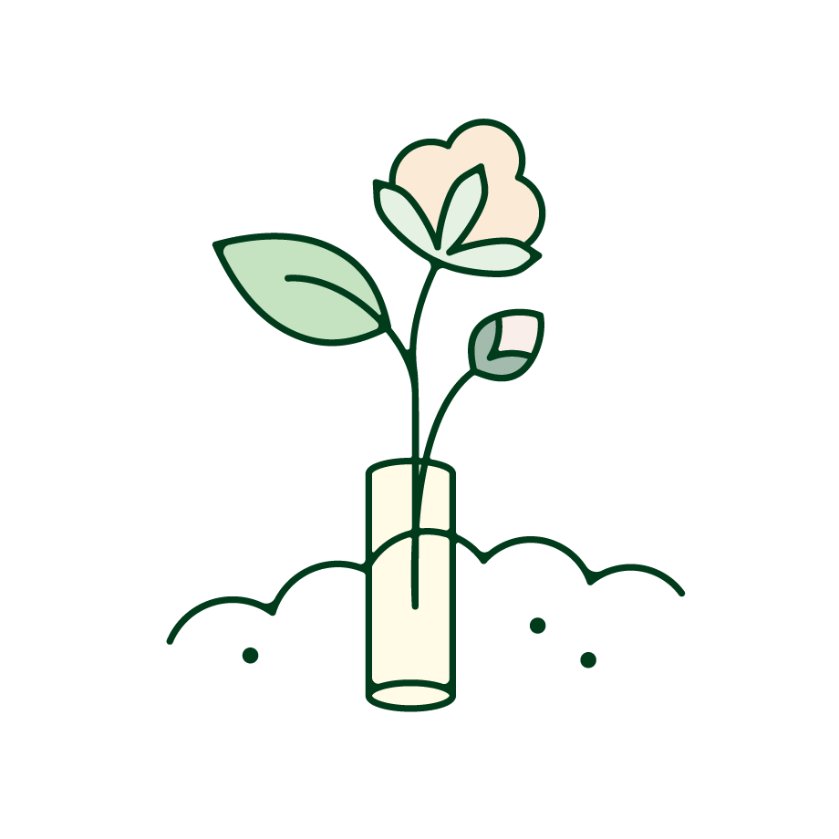 organic-cotton-tampon-growing-from-soil-illustration